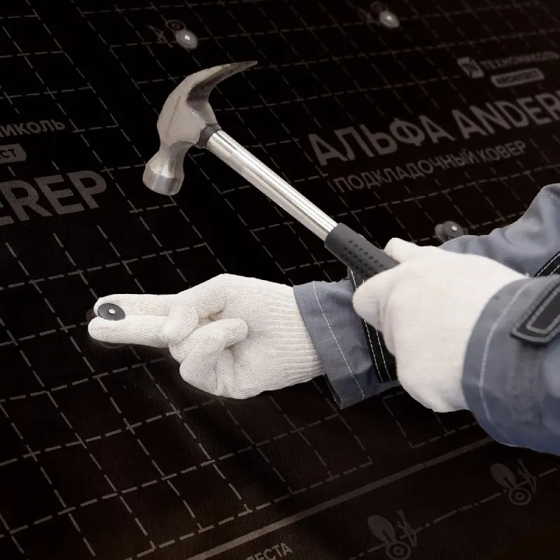 thumb-15588 thumb-15588