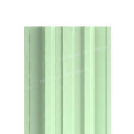 Штакетник металлический МП TRAPEZE-T 16,5х118 (ПЭ-01-6019-0.45)